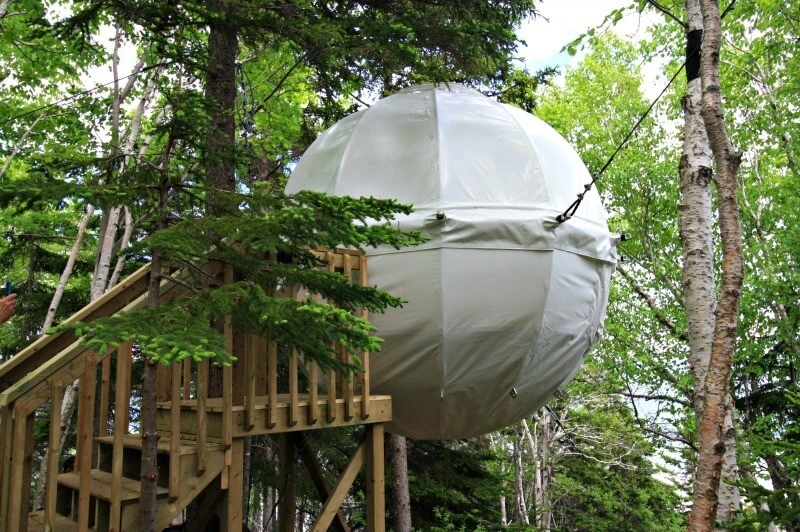 Treehouses tent